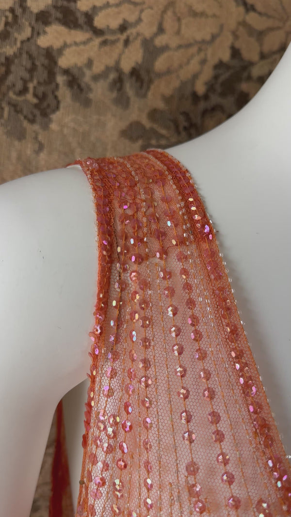 1920s Iridescent Sequin Embellished Net Dress