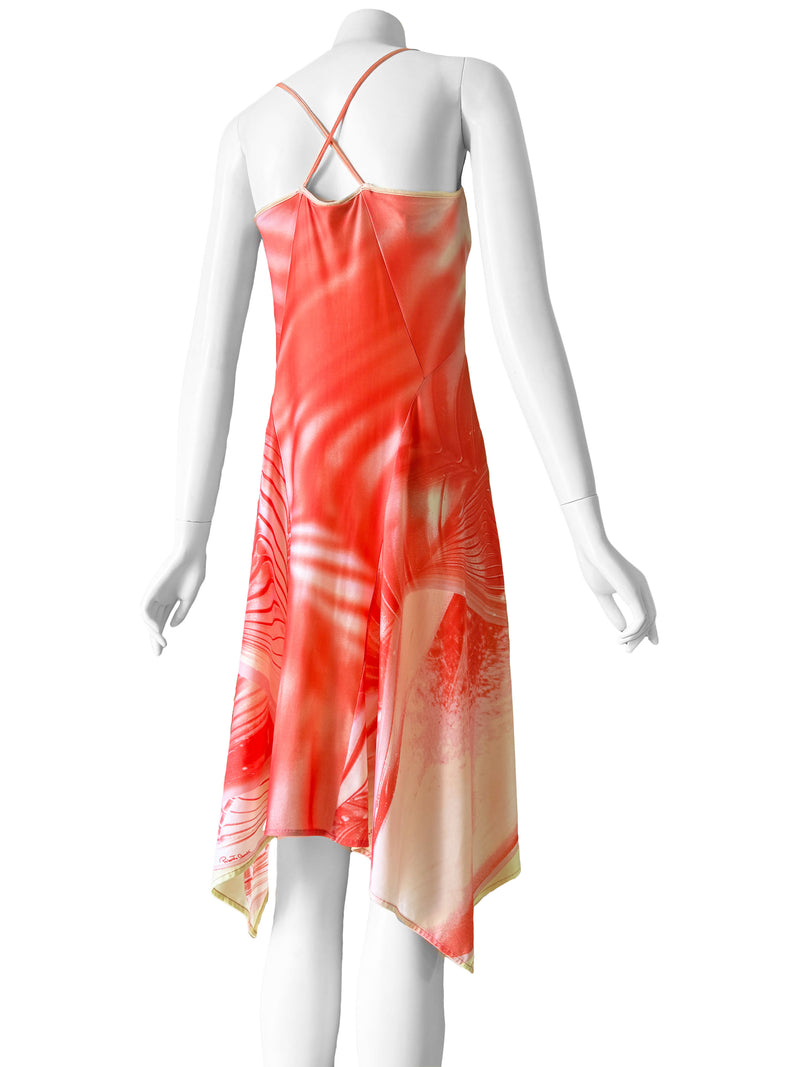 Roberto Cavalli Spring 2001 Dress