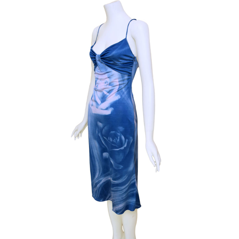 Roberto Cavalli Class 2003 Rose Print Dress